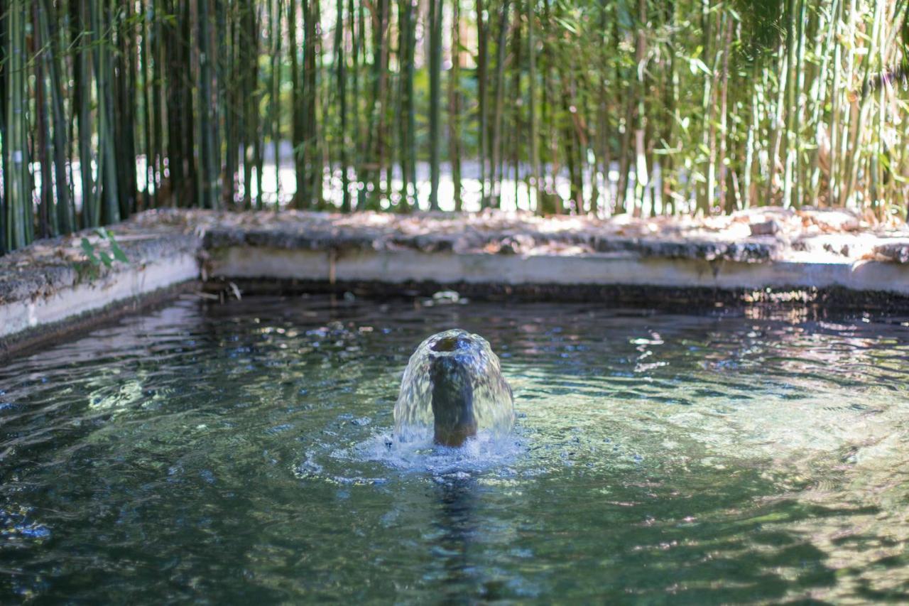 Las Aguas Del Arbuniel Con Pista De Padel 외부 사진
